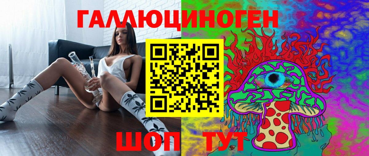Псилоцибиновые грибы Psilocybine cubensis Заволжье