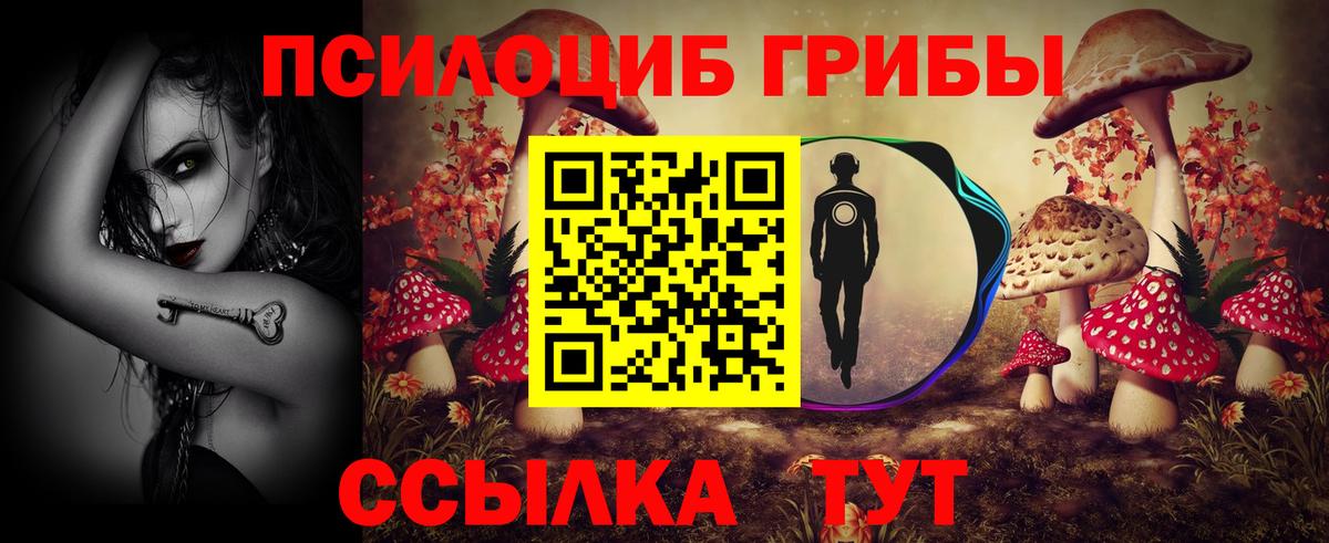 купить наркотик  Вход с VPN  Заволжье  Галлюциногенные грибы Psilocybe 